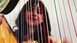 Shake it off! Harp cover