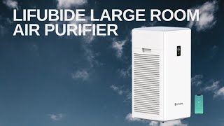 Large room Air purifying system- Lifubide Y1000 Review