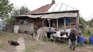 Село-привид на Харківщині: в 6 км від російського кордону наважилася жити тільки одна пенсіонерка