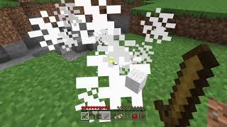 Survie minecraft (Partie 1)