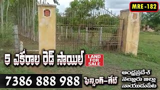 5 ACRES FARM LAND FOR SALE | NEAR NAIDUPET |  FENCING WITH GATE | SH63 | 7386888988 |MadhavTv|ID-182