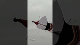 Layangan Kuir Big #viral #2024 #kite #viralvideo #viralshorts #fyp