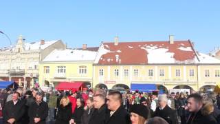 Vincelovo u Požegi 2017.