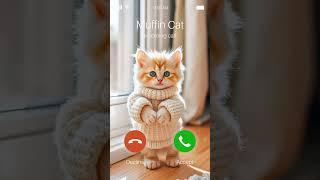 Muffin cat calling us ❤️😺 #cats #shorts #funny