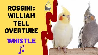 ROSSINI: William Tell Overture with WHISTLE- Cockatiel Training - Bird Whistle - Parrot Practice