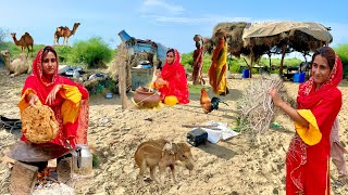 Life inside Pakistan biggest desert | Camels are like Dinosaurs in the desert