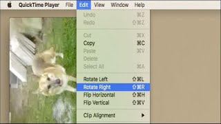 How to Rotate Videos on a Mac