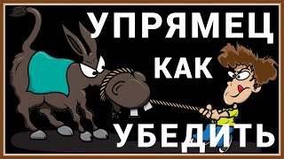 СТОИТ ЛИ УБЕЖДАТЬ УПРЯМЦА