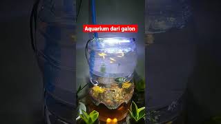 MEMANFAATKAN GALON BEKAS MENAJDI AQUARIUM🐟🐠🐡