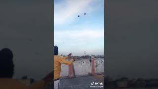 1 guda sa 2 gudy in kite flying basant