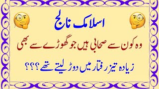 Interesting Islamic Paheliyan in Urdu | Hindi Riddles | Best Puzzles | Common Sense | Gehri Baten