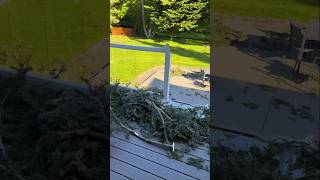 Massive tree destroyed our deck so we’re fixing it. #woodwork