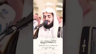 ما شاء الله شیخ رعد گیان سورة القدر 😍