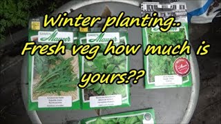 Winter plans and plantings for the Swiss greenhouse 15 09 19