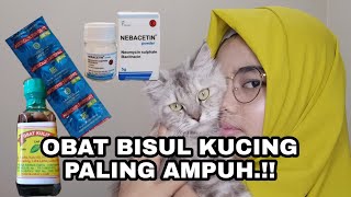 OBAT BISUL KUCING PALING AMPUH.!! 7 HARI LANGSUNG KERING.!!