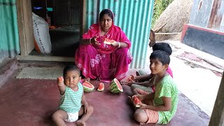 আজ নিলয় বাবুর বাবা ডাক শুনে আমি পাগল হয়ে গেছি \ Village Farmer Life Style Vlog