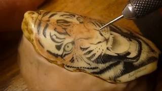 Scrimshaw Demonstration by Adams - Tiger