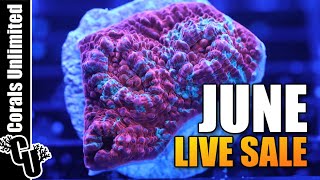 Corals Unlimited June LIVE Sale