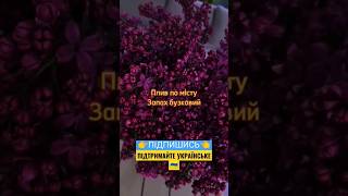 🔥 Запах бузковий 🔊 Ніщо так не гріє душу, як українська музика і перемоги ЗСУ! Слава Україні!🇺🇦 #🇺🇦