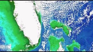 Southeastern U.S. Ocean Conditions Update - 12/19/2023