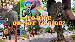 Elephants in Thailand - Wild Animals or Beasts of Burden?