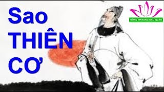 Sao Thiên Cơ trong lá số Tử Vi