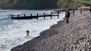 Olaf at St. Bees beach, Cumbria