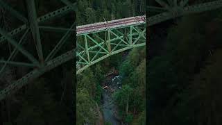 Vance Creek Bridge Washington #shorts