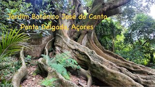 Jardim Botânico José do Canto in Ponta Delgada, São Miguel, Açores - A Walk Around #azores #portugal