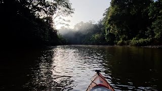 Laguna Caño Negro El Paraìso de los Caimanes Costa Rica