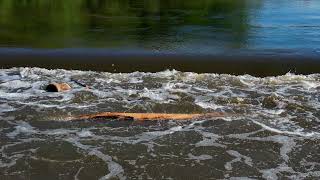 The Power of Recirculating Water Below A Dam