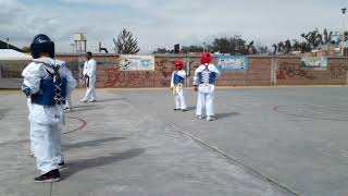 Examen decembrino de ave fénix Tultepec TAEKWONDO