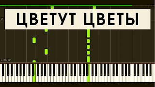 ТАНЦЫ МИНУС - ЦВЕТУТ ЦВЕТЫ (synthesia)