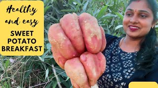 Healthy and easy sweet potato breakfast | Sweet potato harvesting | Sweet potato recipes