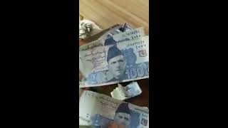 Cash Counter Machine Identify Genuine and Fake Currency Note Checker for Pak Rupee and Dollars