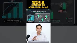 엘앤에프 글로벌 매출 확대 성장할 수밖에 없는 이유!