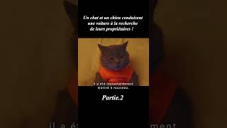 Un chat et un chien conduisent une voiture à la recherche de leurs propriétaires !2/3#shorts