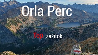 Orla Perc (PL)