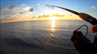 PESCA CON SEÑUELO AL AMANECER\\Allan Abad