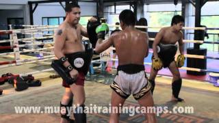 Mapichit Sitsongpeenong Thai Pads 2