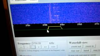 S30 The Pip.. Voice message 3756 khz 02:39utc 10/26/12