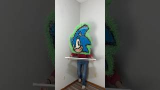 Sonic The Hedgehog made out of rice ￼