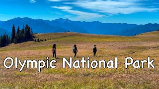 Olympic National Park - Hoh Rainforest, Marymere Falls, Hurricane Ridge | Hiking in Washington State