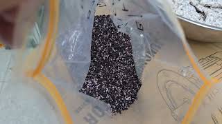 Black rice popped chips test by SYP5806T triangle popchips machine from Korea