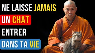 🐱 Ne laisse pas un CHAT entrer dans ta vie | Histoire Zen de Grande Sagesse