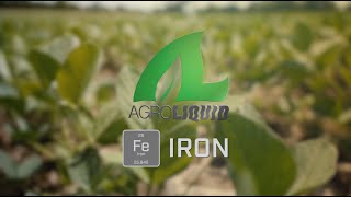 Iron boosts crop nutrition and enhances soil health...but you have to get it into the plant first.