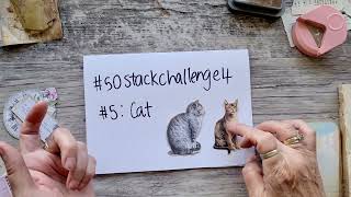 #50stackchallenge4 #5 Cat