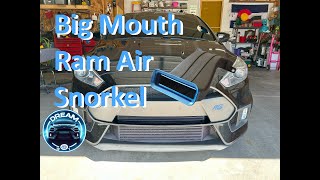 Big Mouth Ram Air Snorkel on the 2017 Ford Focus RS