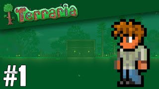 JUCĂM TERRARIA ?!?