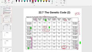 Chapter 22 Nucleic Acids and Protein Synthesis Lesson 4